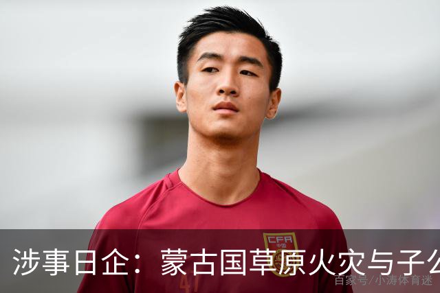 涉事日企：蒙古国草原火灾与子公司高管活动有关